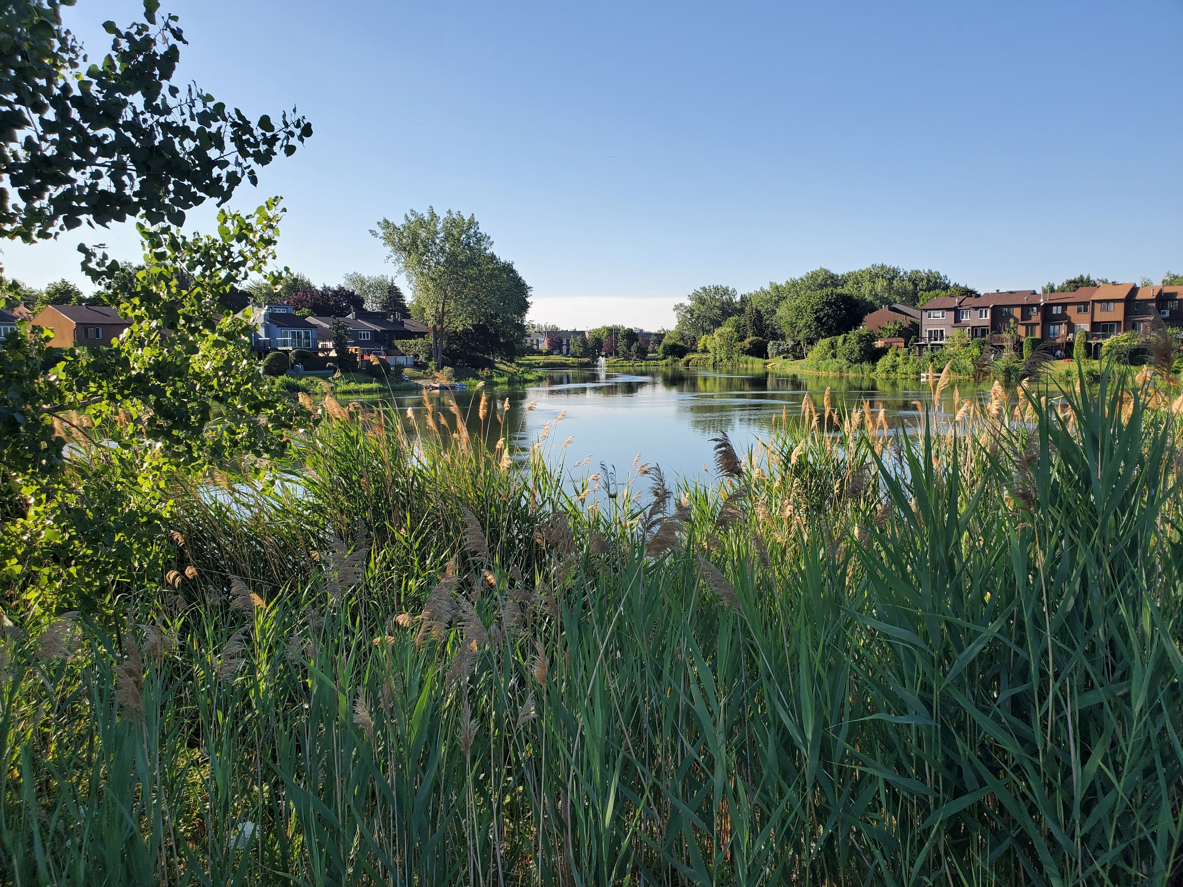 Vue du lac urbain de La Prairie depuis la piste cyclable, avec sa végétation riveraine